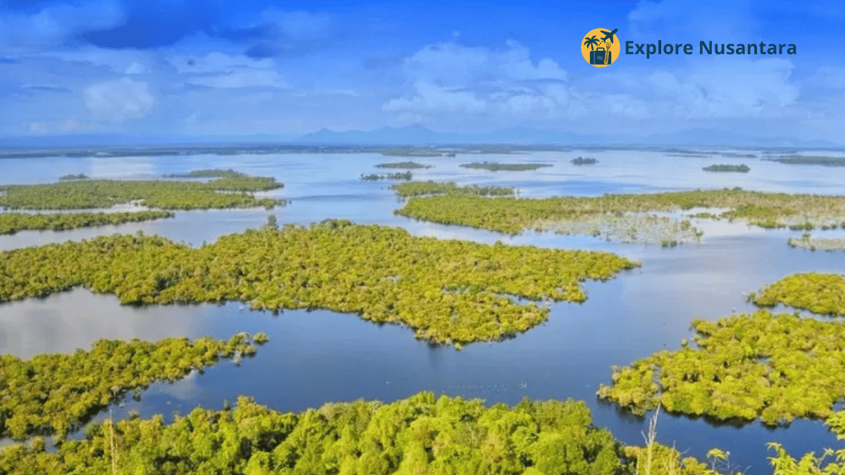 Spot alam tersembunyi Danau Sentarum hidden lake Kapuas Hulu Kalimantan 2025