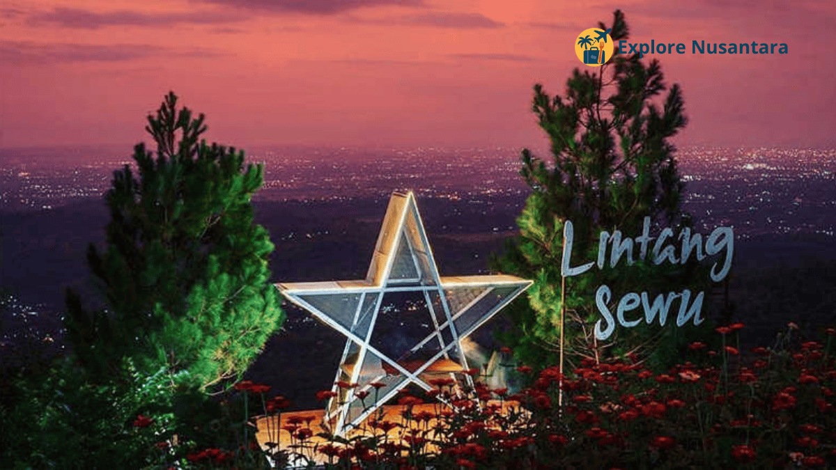 Tempat healing viral 2025 Suasana sejuk di Bukit Lintang Sewu dengan deretan pohon pinus yang teduh