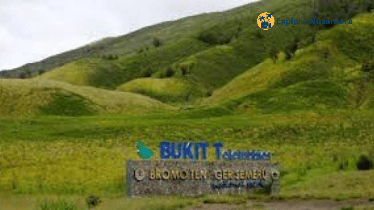 Bukit Teletubbies Bromo Jawa Timur
