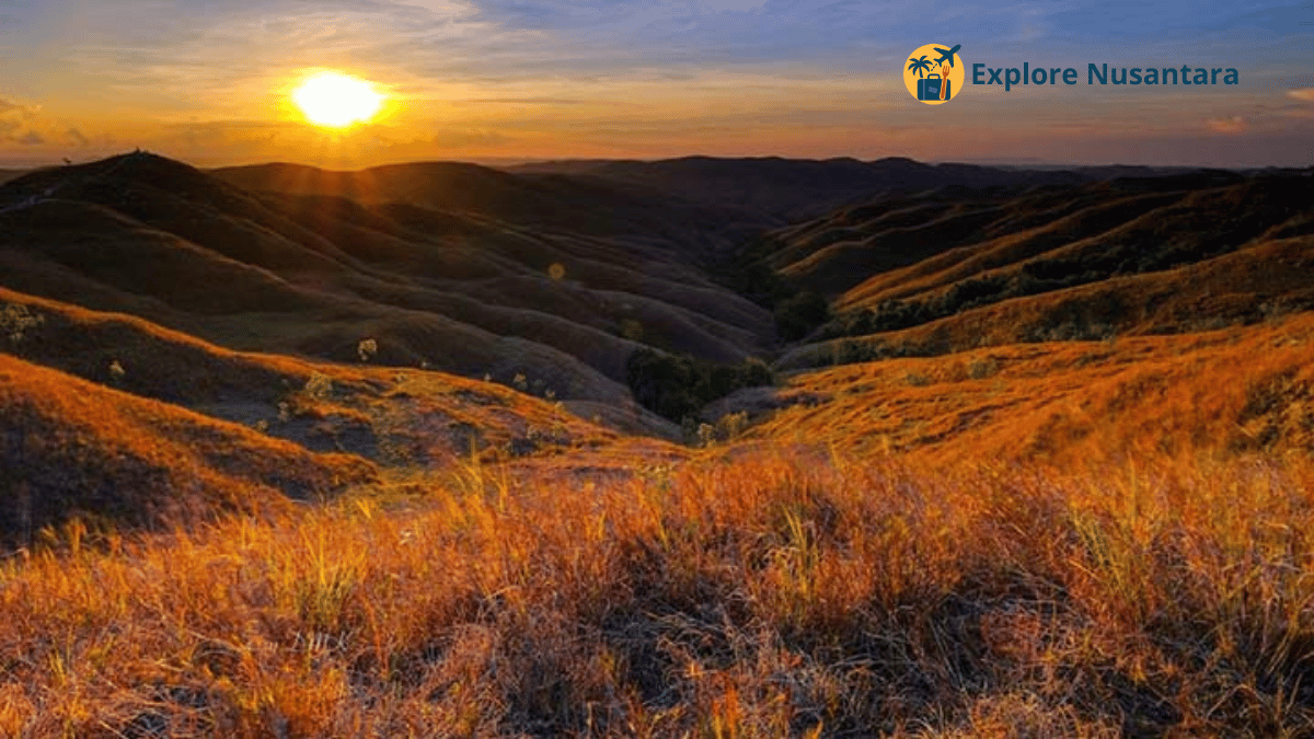 Bukit Wairinding Sumba Timur
