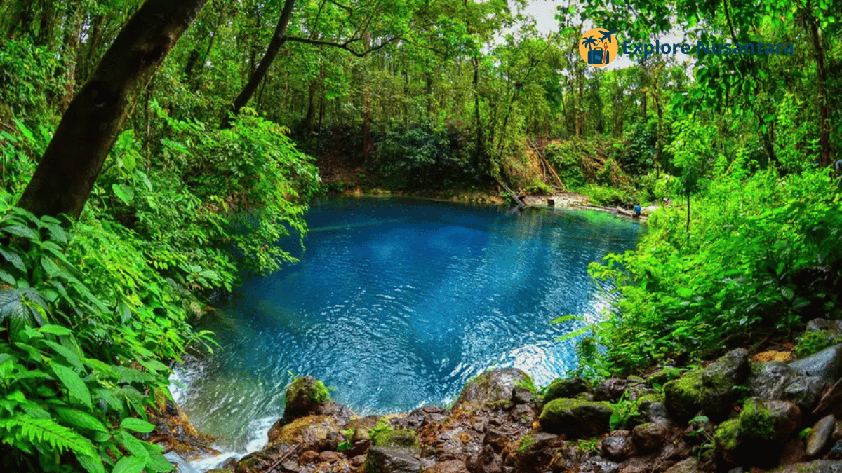 10 Tempat Tersembunyi Viral 2025 - Danau Kaco Jambi yang tersembunyi di tengah hutan