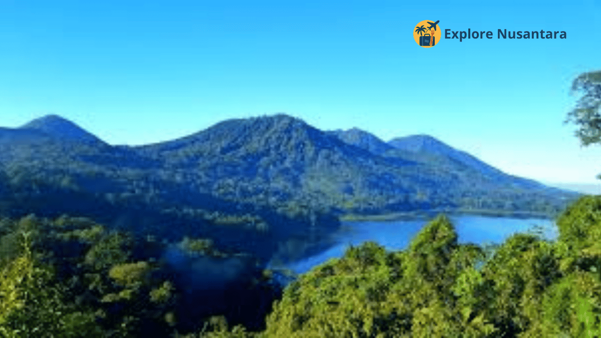 Desa Wisata Viral Munduk Bali Utara
