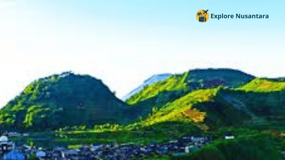 Surga Tersembunyi Viral 2025 - Desa Wisata Sembungan Dieng