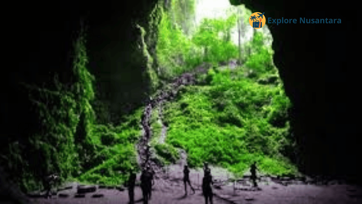 Wisata Alam Eksotis Goa Jomblang Gunungkidul Yogyakarta