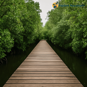 Taman Wisata Alam Mangrove di Jakarta Utara dengan pepohonan rindang