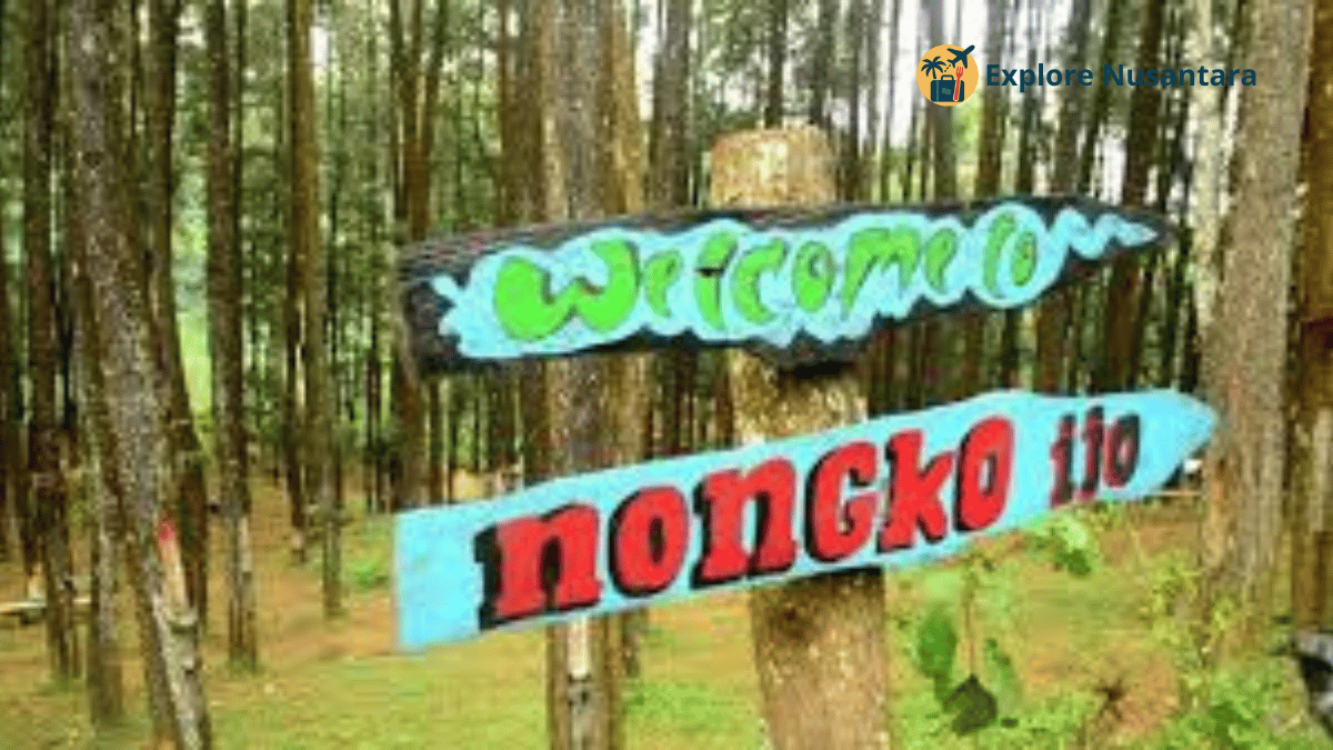 Tempat Sederhana Titik Balik Hidup di Hutan Pinus Nongko Ijo dengan cahaya matahari menyusup di antara pepohonan