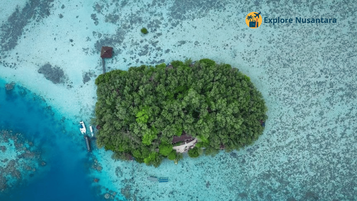 Pemandangan indah Pulau Macan dengan pantai berpasir putih dan laut jernih