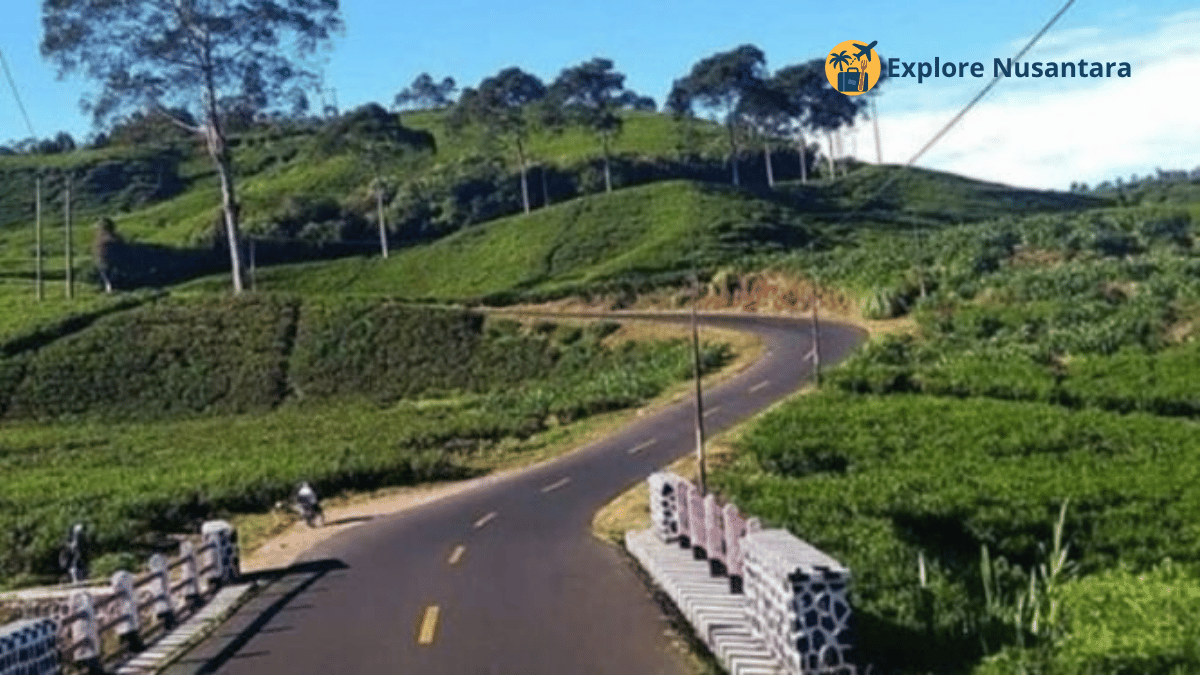 Pemandangan jalanan berliku di selatan Garut menuju Pantai Pangandaran dengan lanskap perbukitan hijau