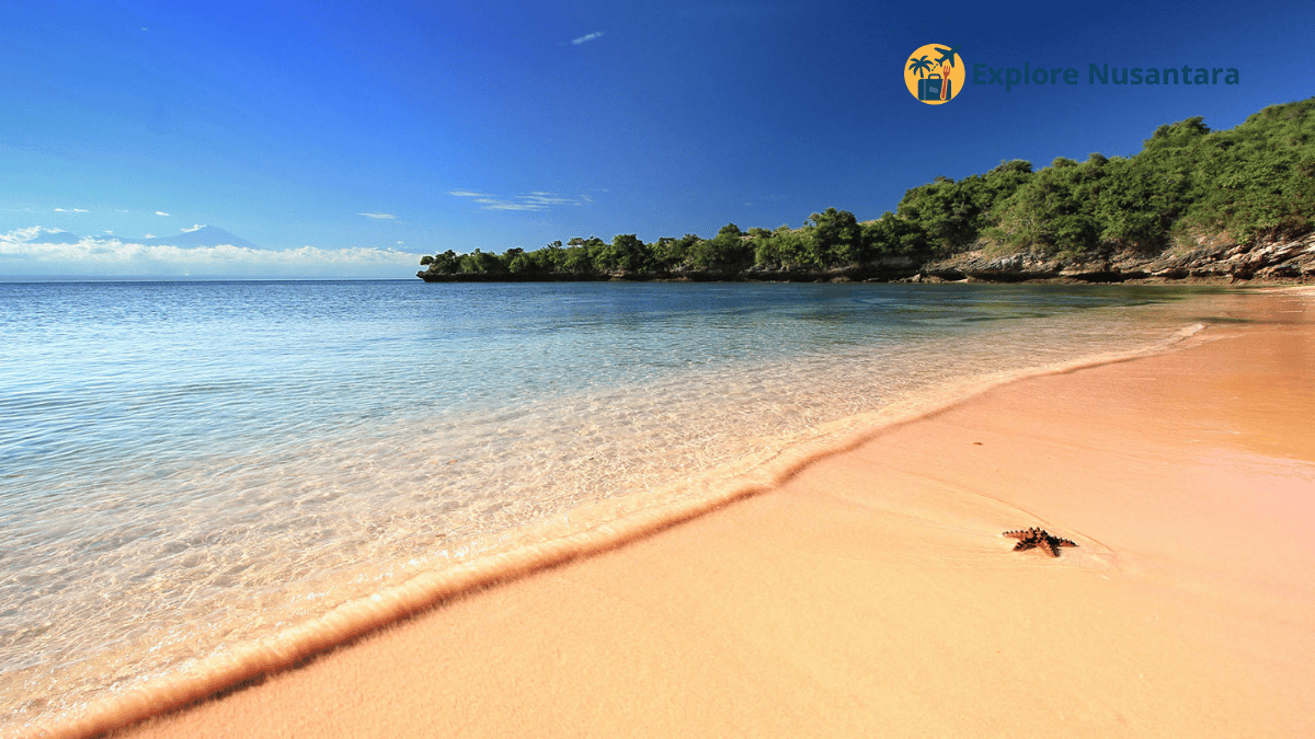 Mobil melaju di jalan berkelok dengan latar Gunung Rinjani dan Pantai Pink di Lombok Timur road trip terbaik Indonesia 2025