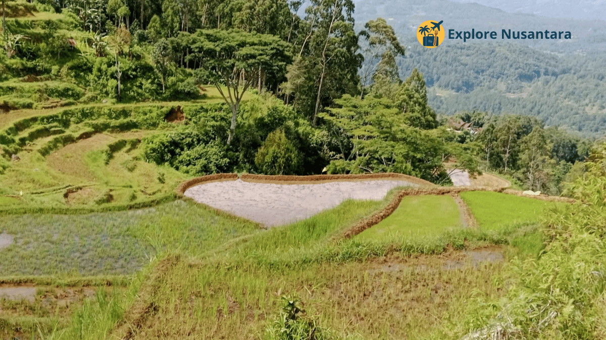 road trip terbaik Indonesia 2025 Mobil melintasi jalan pegunungan dari Makassar ke Toraja dengan pemandangan sawah bertingkat dan awan rendah