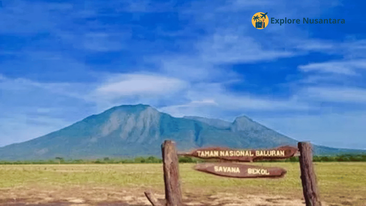 Taman Nasional Baluran Situbondo