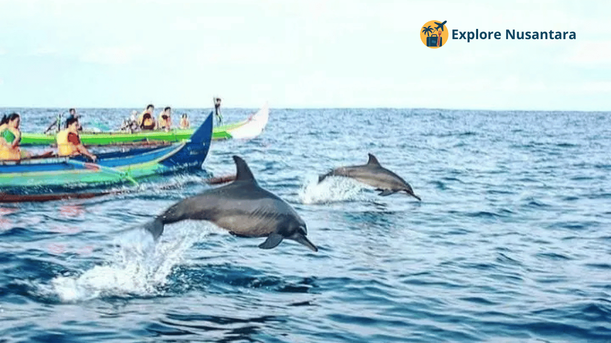 Pemandangan Teluk Kiluan dengan perahu dan lumba-lumba di laut jernih