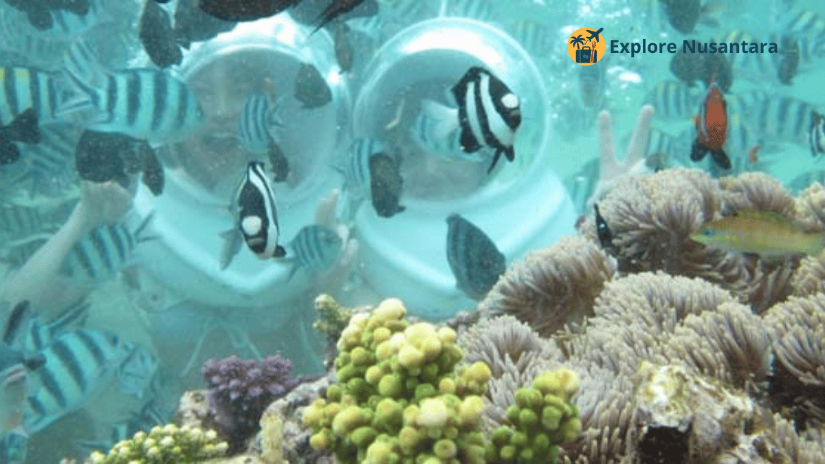 Bali Ocean Walker di Sanur, wisata menyelam sambil berjalan di dasar laut yang lagi viral