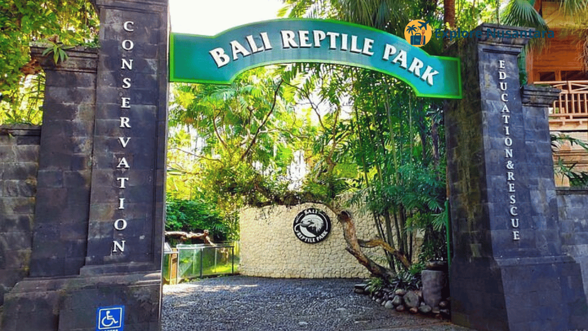 Bali Reptile Park Gianyar, destinasi edukatif dan konservasi hewan eksotik Wisata Baru Bali viral 2025