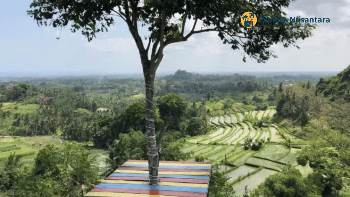 Wisata Baru Bali Twin Hills di Bangli, destinasi baru dengan view sunrise simetris viral 2025