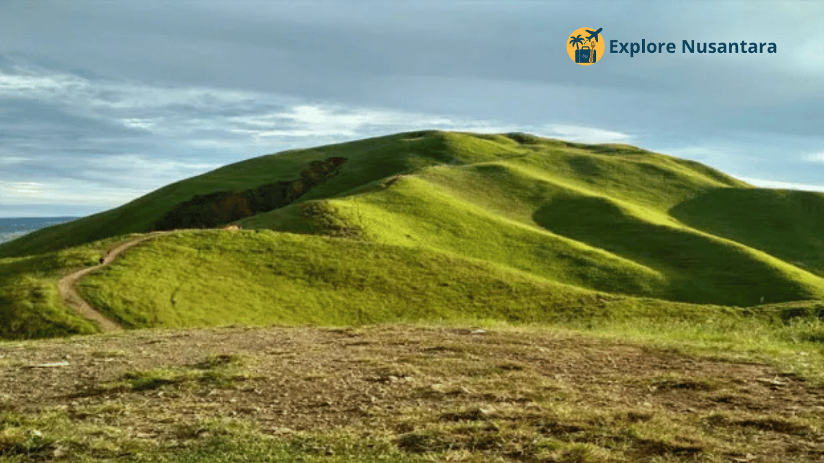 Bukit Holbung 2.0 di Samosir dengan view baru dan spot TikTokable - Wisata Baru Indonesia 2025