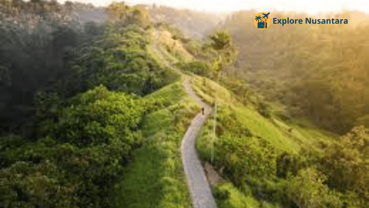 Campuhan Ridge Walk Ubud Bali 2025