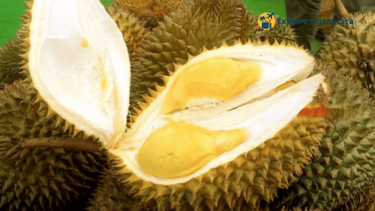 Durian Jatohan H. Acin di Bogor, viral karena kualitas dan rasa otentik