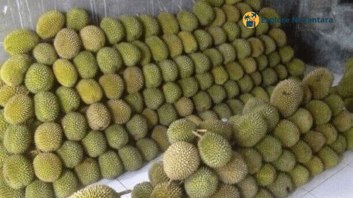 Durian Sidikalang di Simpang Kayu Besar, Sumut, yang terkenal legit dan viral di TikTok