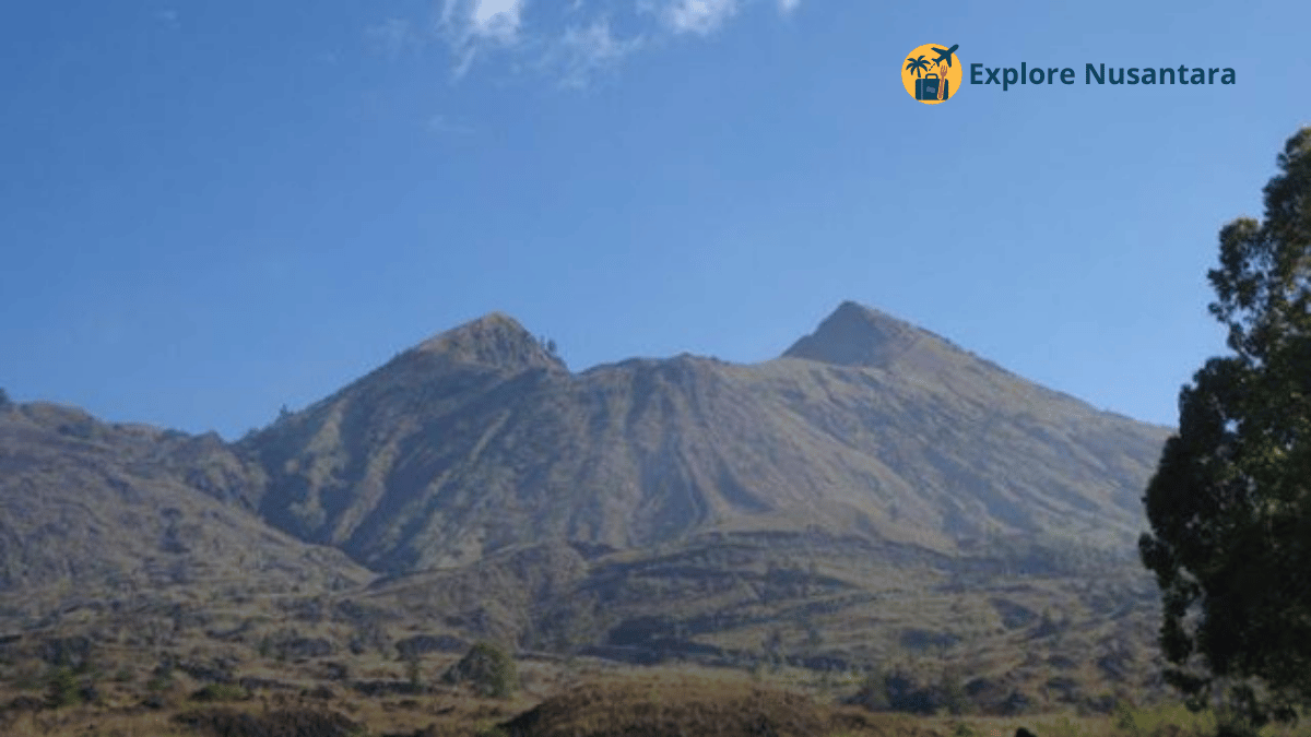 Hutan lebat Gunung Bukit Raya Kalimantan dengan jalur ekstrem menjadikan gunung bukit raya gunung hits 2025