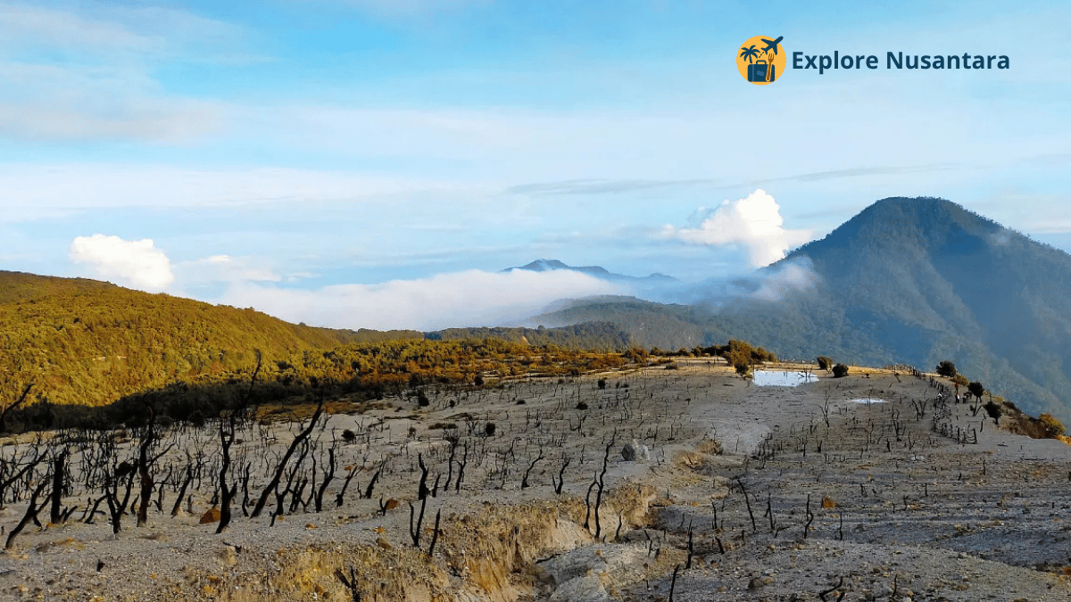 Papandayan kembali masuk daftar gunung hits 2025 versi komunitas hiking lokal.