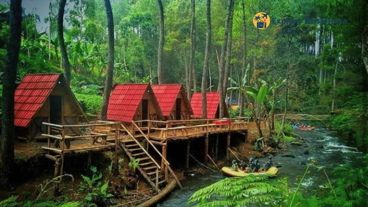 Wisata alam hutan pinus Kampung Singkur Pangalengan Bandung