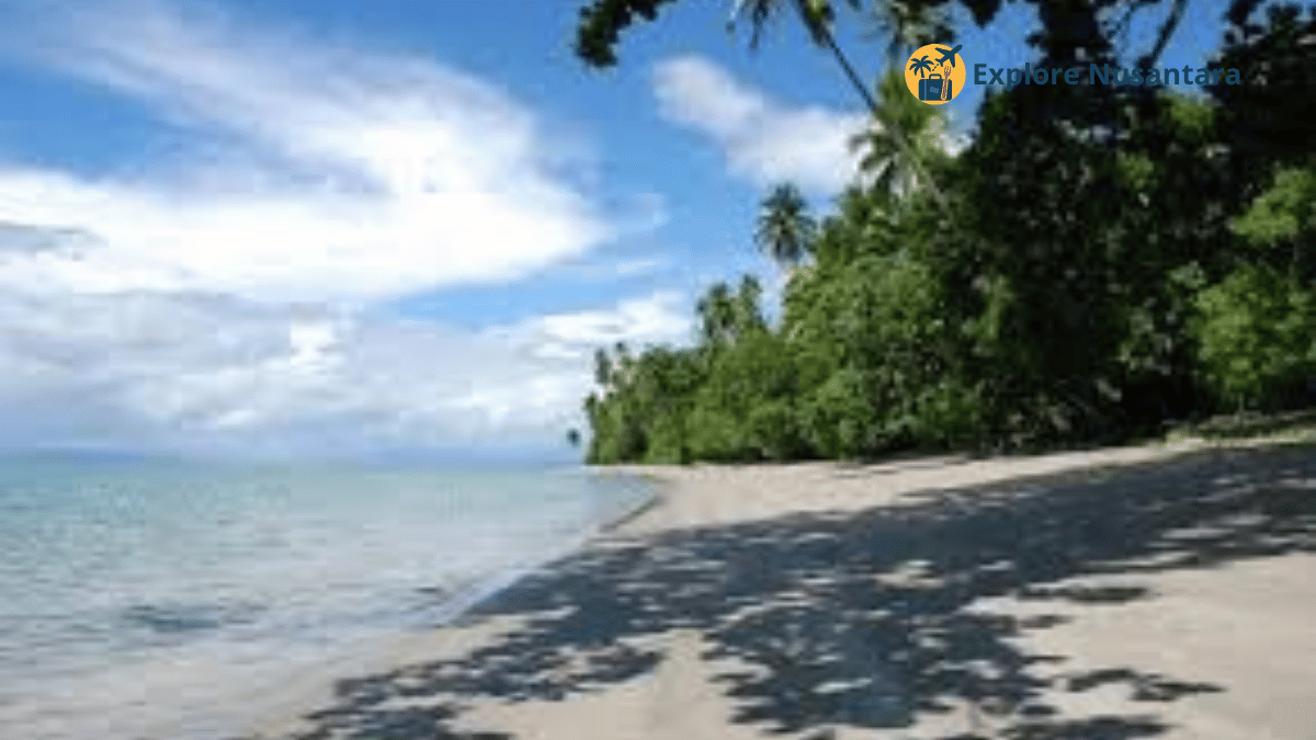 Pantai perawan di Pulau Sayafi, Papua Barat dengan budaya lokal yang masih terjaga