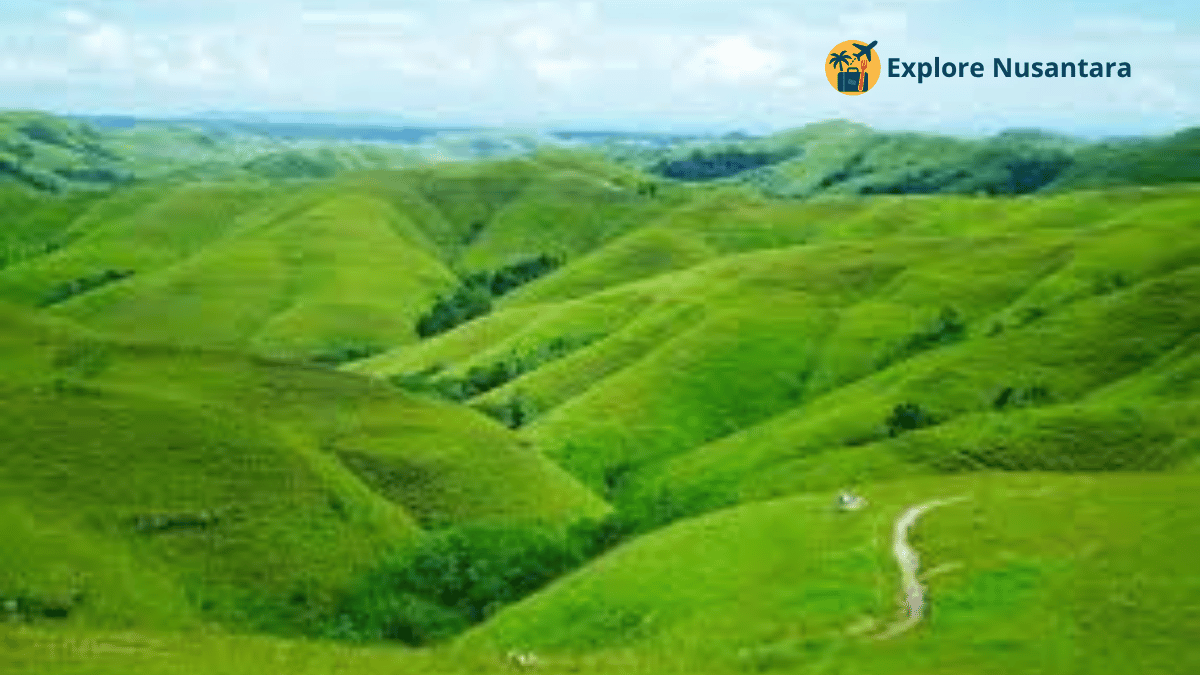 Bukit Wairinding di Sumba Timur dengan lanskap perbukitan hijau bergelombang seperti savana - Wisata Nusa Tenggara Timur 2025