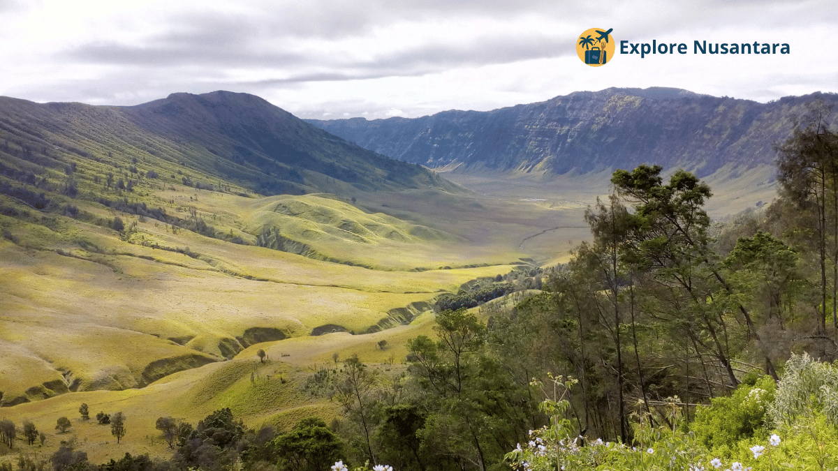 Bukit Teletubbies Bromo - Tempat Piknik Viral TikTok 2025