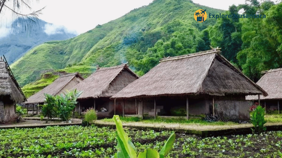 Pemandangan hijau di Desa Sembalun Lombok