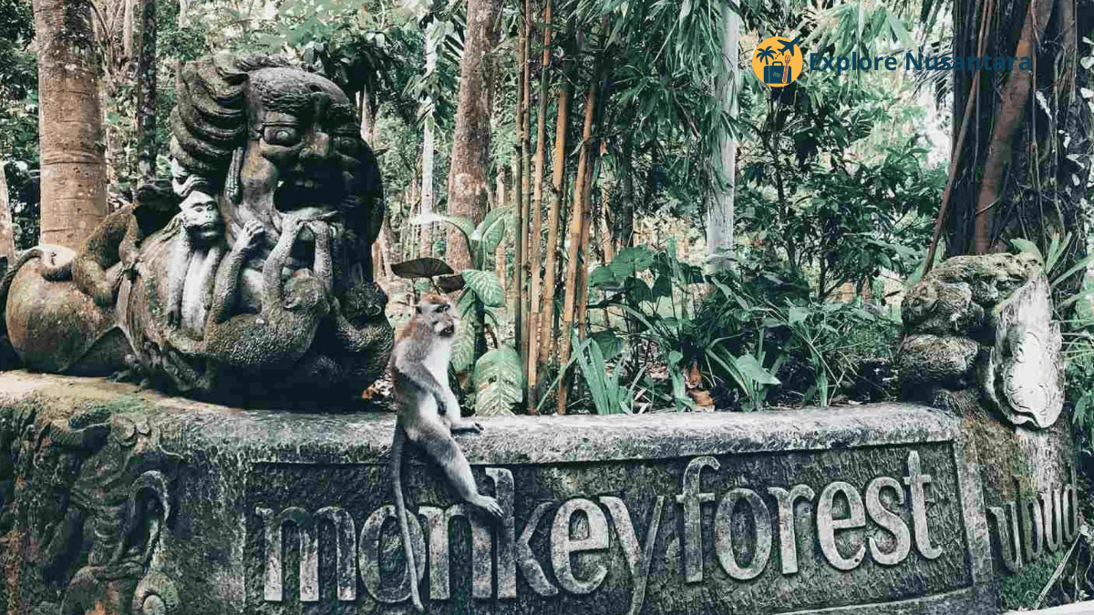 Eksplorasi Ubud dan Nusa Penida - Monyet di Monkey Forest Ubud Bali