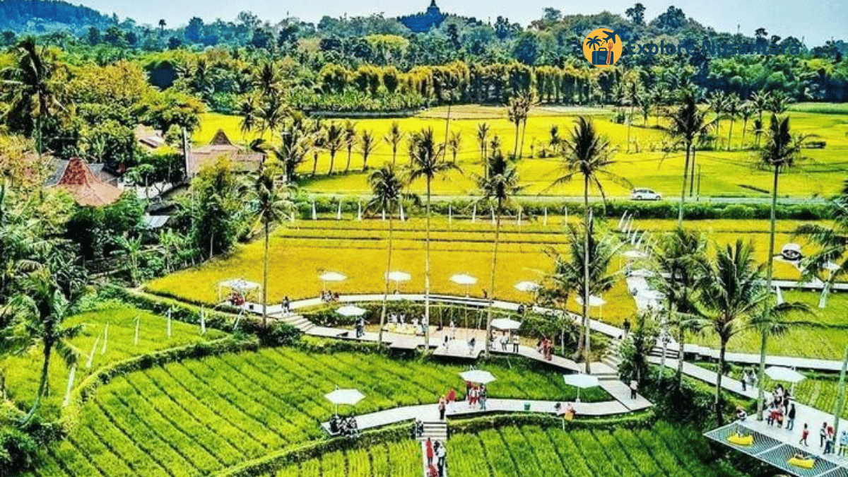 Svargabumi Borobudur - Sawah Estetik dan Spot Foto TikTokable