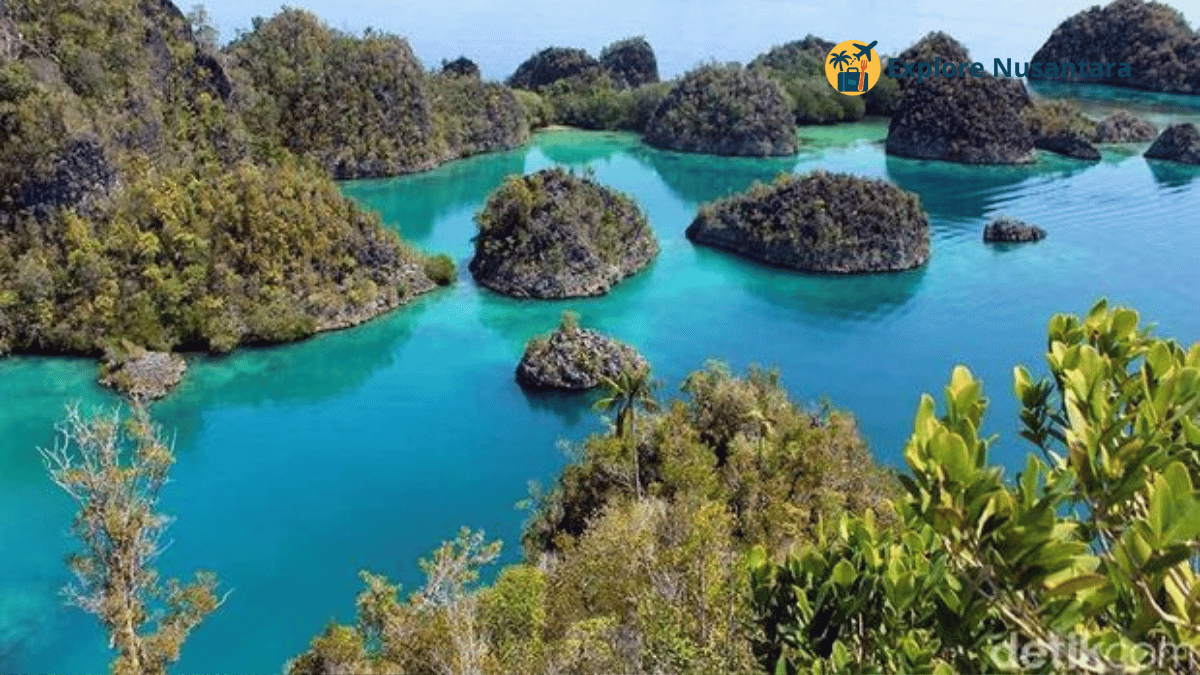 Pemandangan perairan Raja Ampat yang masih alami, penuh biota laut
