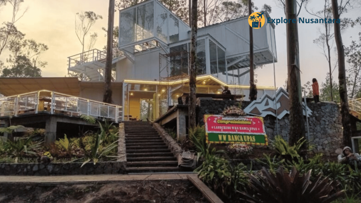 Warung Kopi Viral 2025 di tengah hutan pinus Ranca Upas Bandung dengan kabut pagi yang menyejukkan